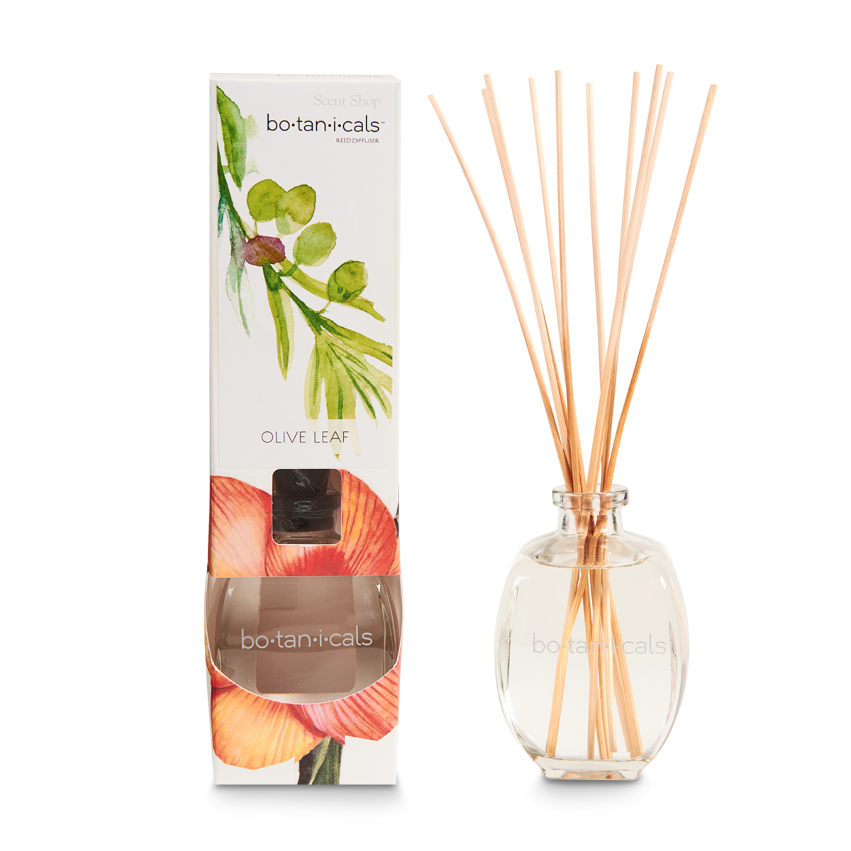 Reed Diffuser Olive Leaf Scent Shop